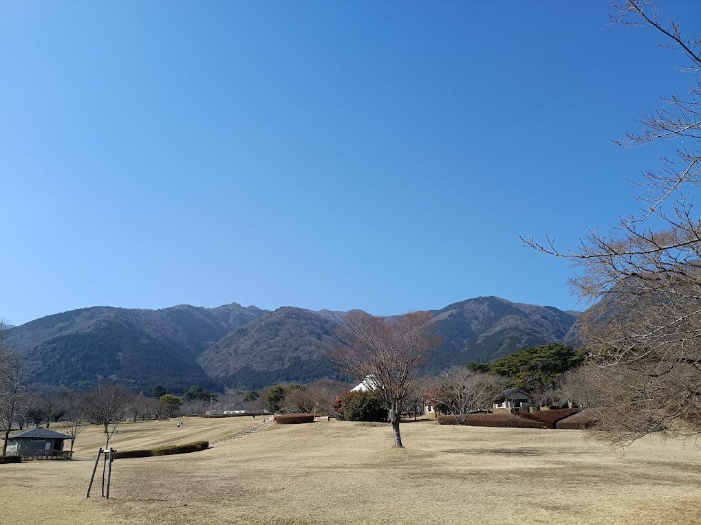 養老公園