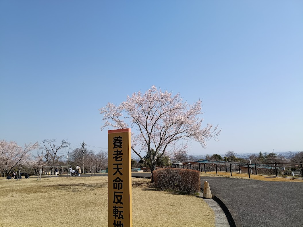 養老公園