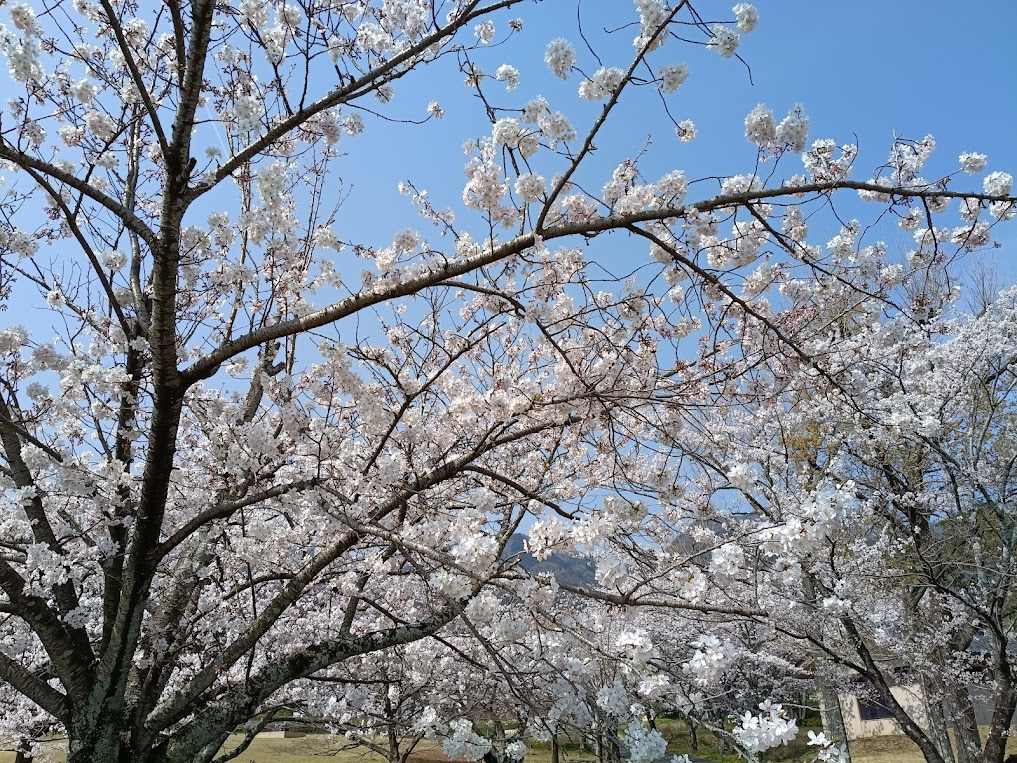養老公園