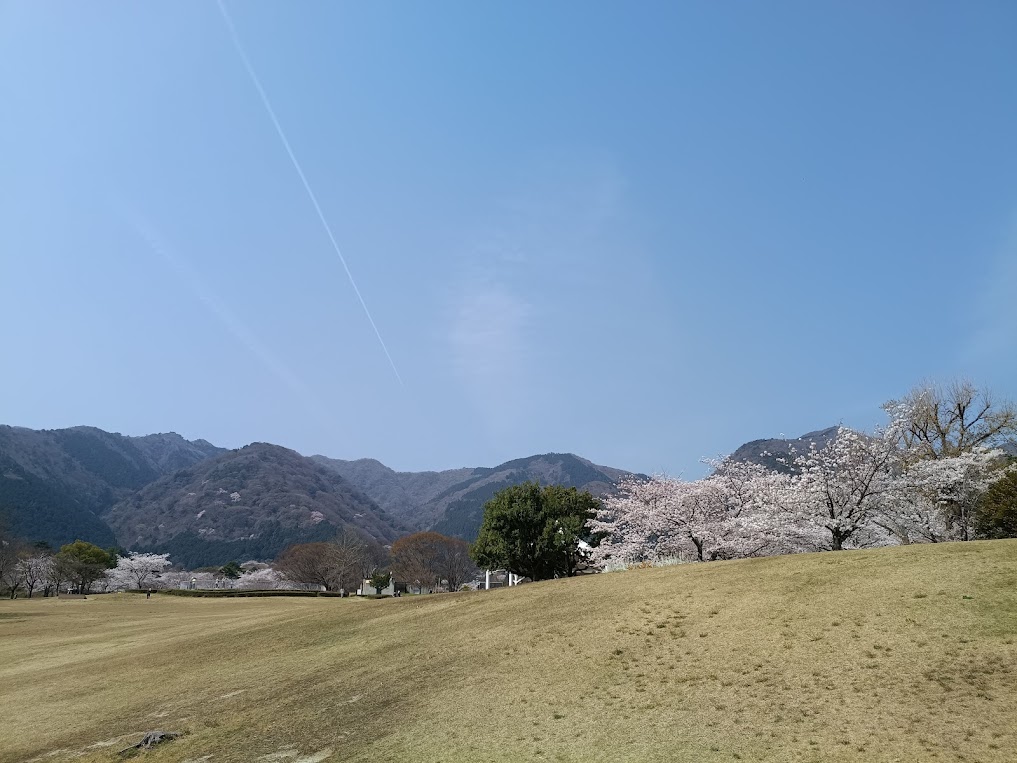 養老公園